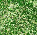 Satellite image of crops growing in Kansas, USA