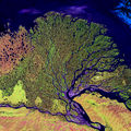 Lena River Delta - Landsat 2000